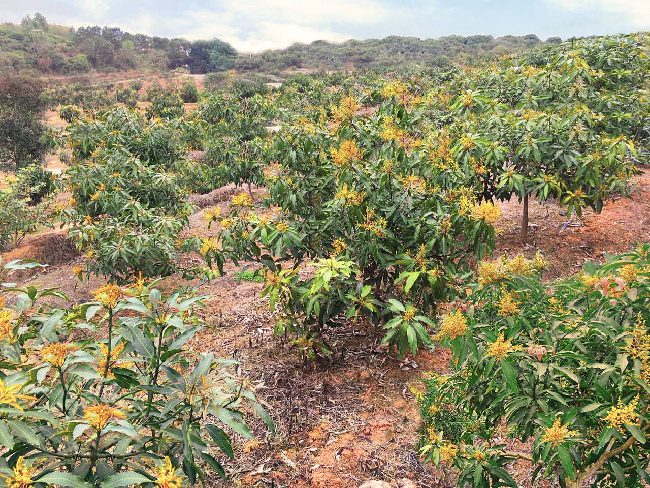 1521161411568575.jpg 微信圖片_2018030917212413(3)(1).jpg