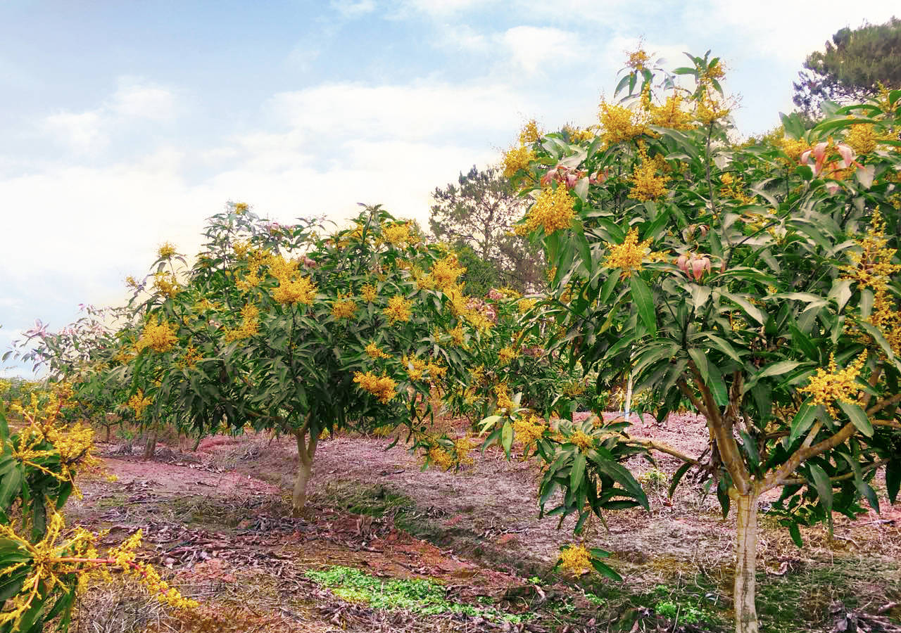 1521161538558891.jpg 微信圖片_201803091721247.jpg