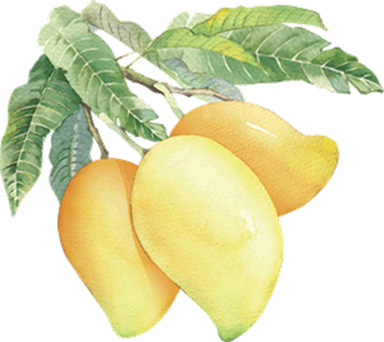 1527299442634379.jpg 1527299442634379.jpg