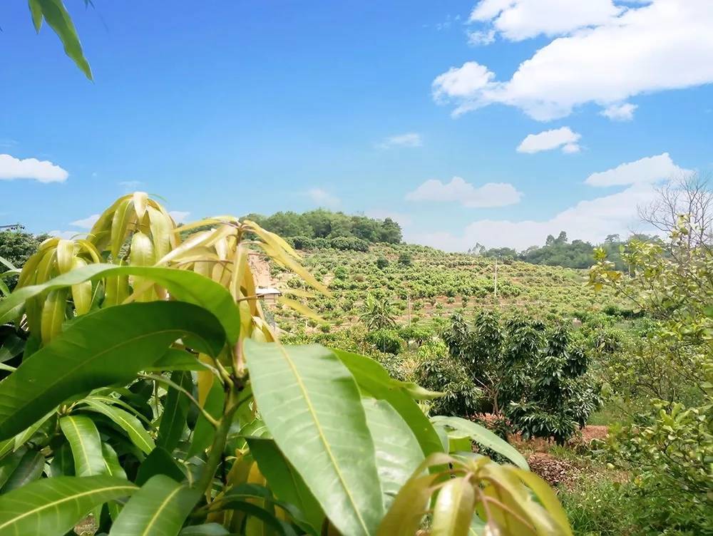 1531294484161540.jpg 1531294484161540.jpg