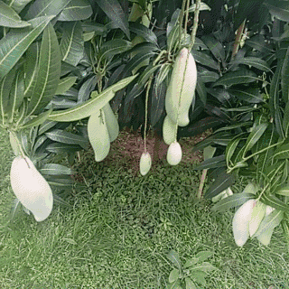 1531294569435776.gif 640.gif