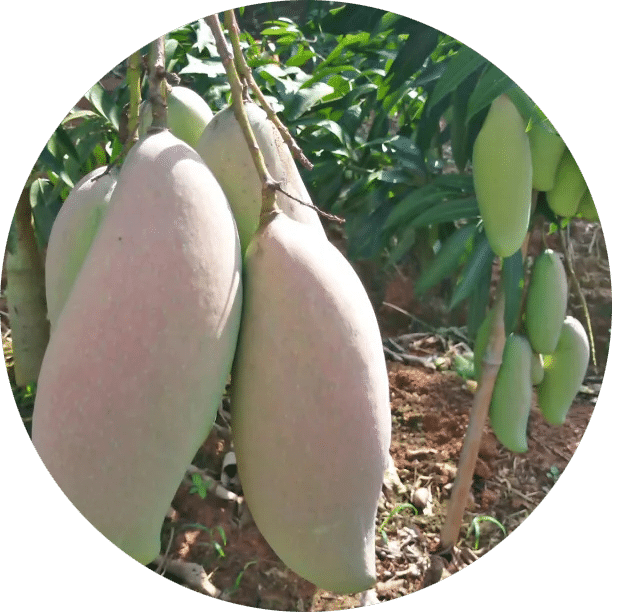 1531294862703414.png 1531294862703414.png