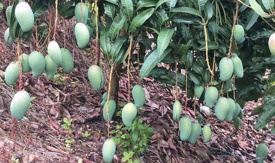 1531295247370219.jpg 1531295247370219.jpg