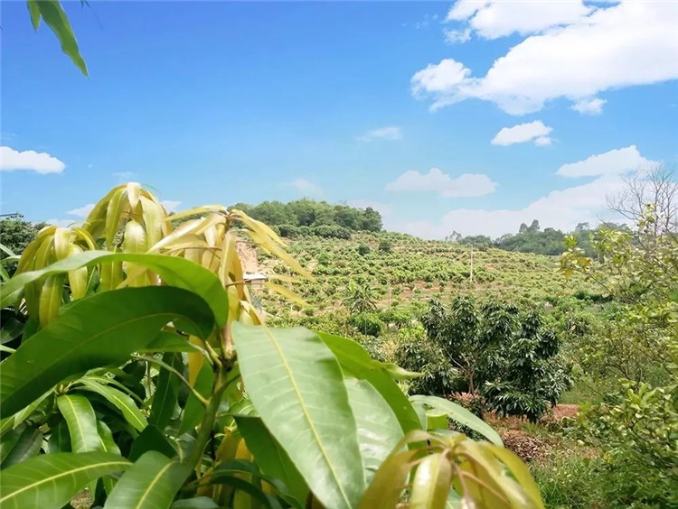 1562031585769101.jpg 640.webp (2).jpg