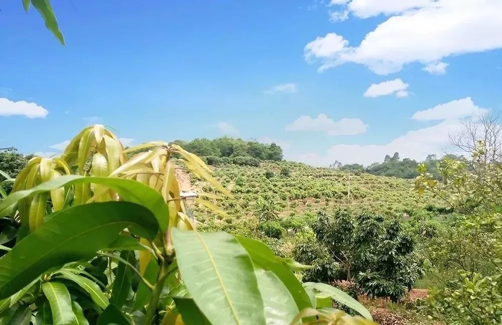 1575683505322701.jpg 1575683505322701.jpg