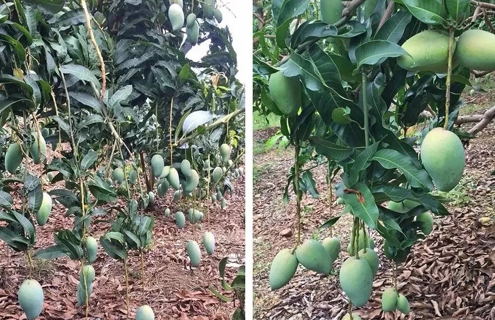 1575683545576753.jpg 1575683545576753.jpg